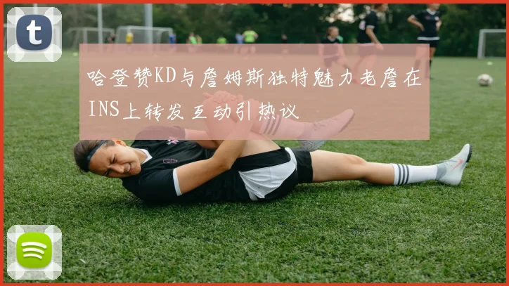 哈登赞KD与詹姆斯独特魅力老詹在INS上转发互动引热议