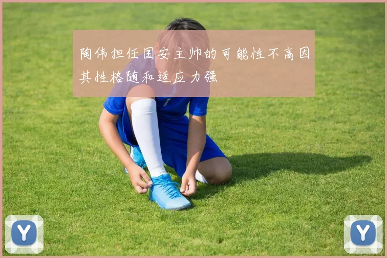 陶伟担任国安主帅的可能性不高因其性格随和适应力强